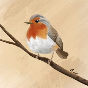Robin - Limited edition 20x20 fine art print